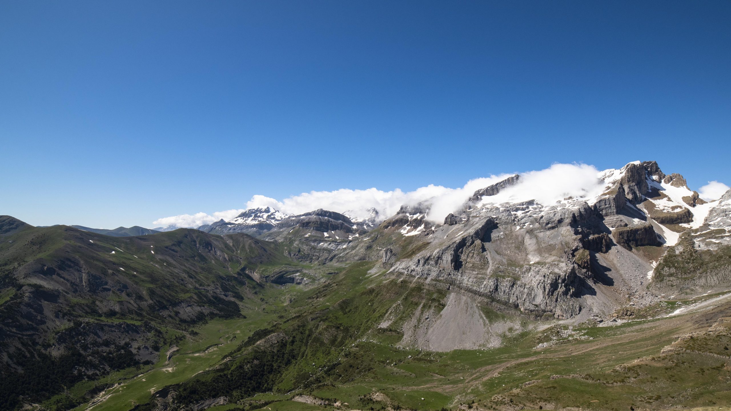 iguerpano